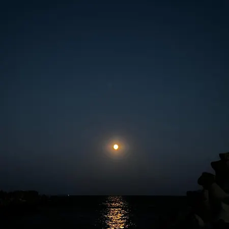 Magifa Mamaia Nord Navodari