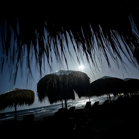 Magifa Mamaia Nord *